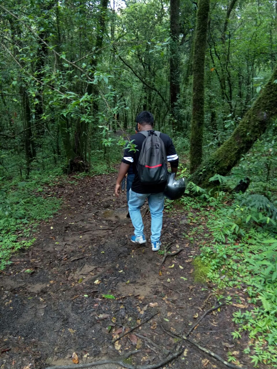 Photo of Mawphlang Sacred Grove, Nongrum, Meghalaya, India by a_lonenomad