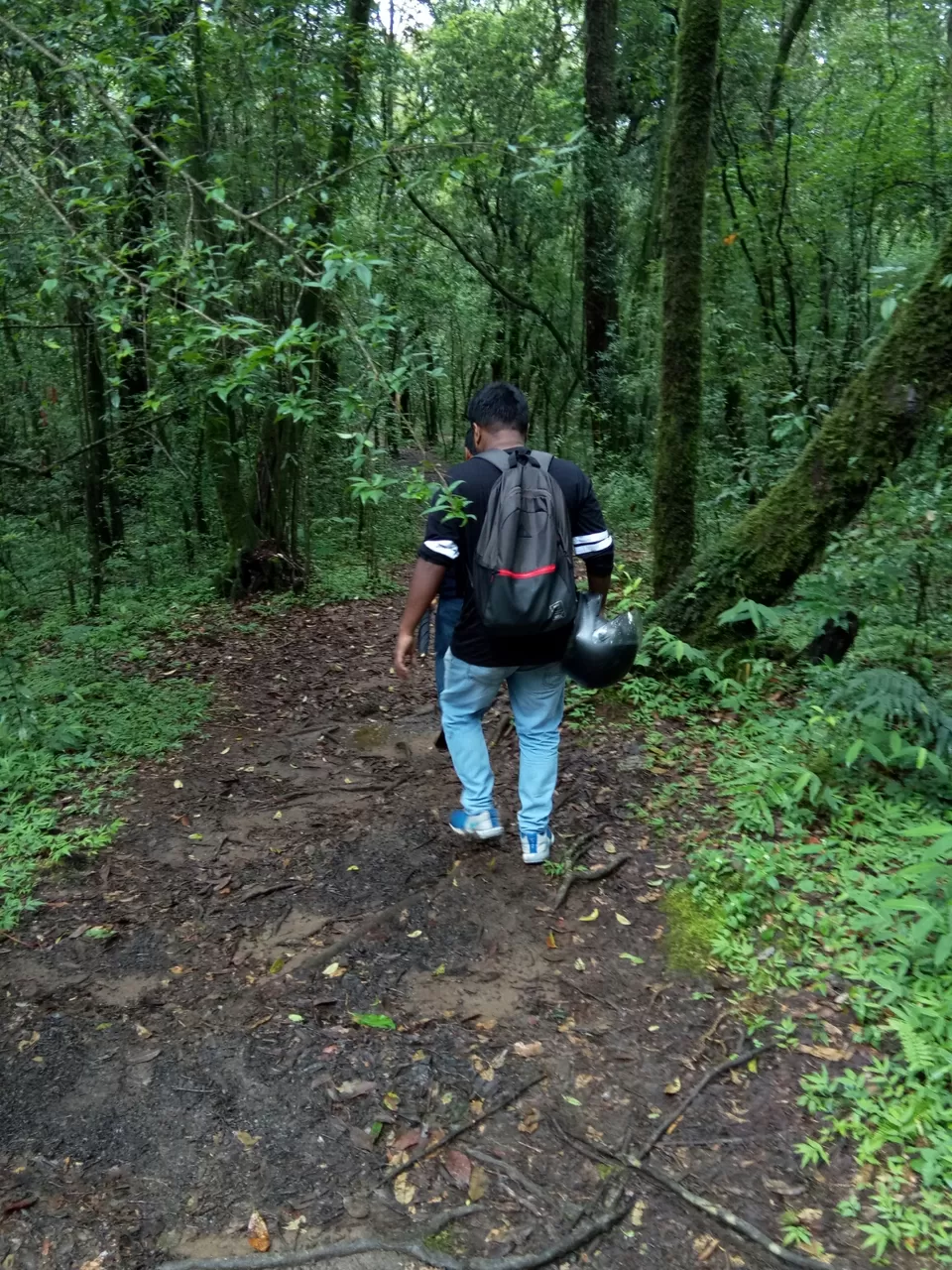 Photo of Mawphlang Sacred Grove, Nongrum, Meghalaya, India by a_lonenomad