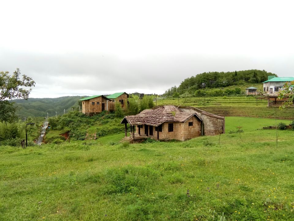 Photo of Mawphlang Sacred Grove, Nongrum, Meghalaya, India by a_lonenomad