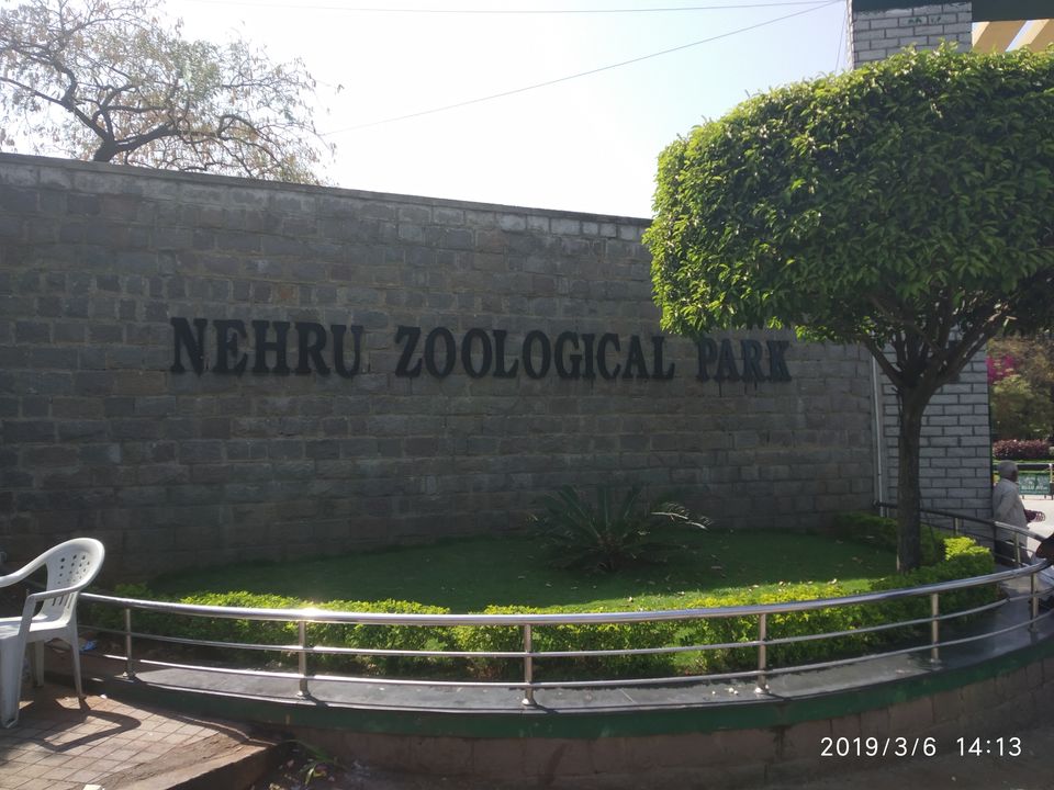 Photo of Nehru Zoological Park, Kishan Bagh, Hyderabad, Telangana, India by Himani Sharma