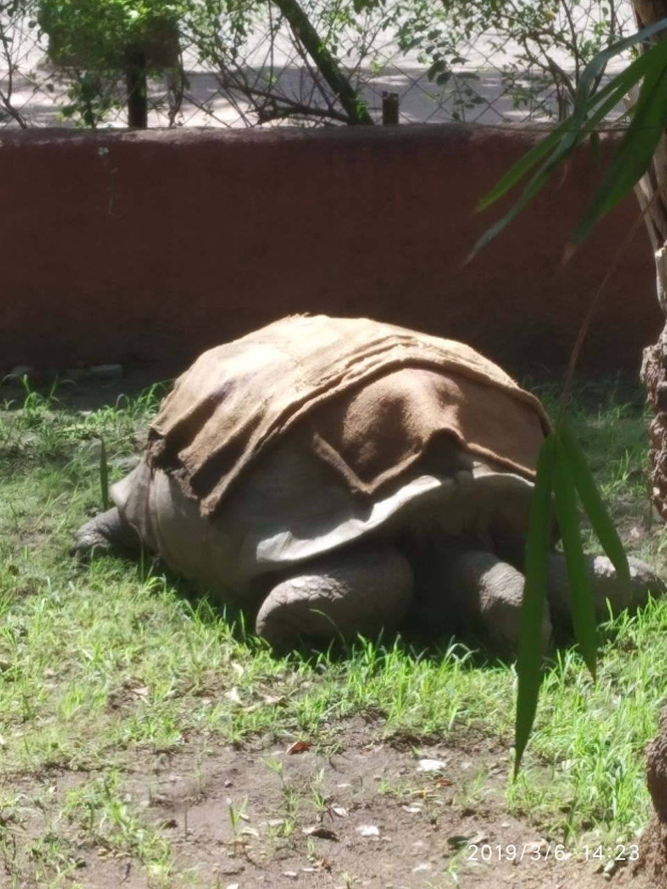 Photo of Nehru Zoological Park, Kishan Bagh, Hyderabad, Telangana, India by Himani Sharma
