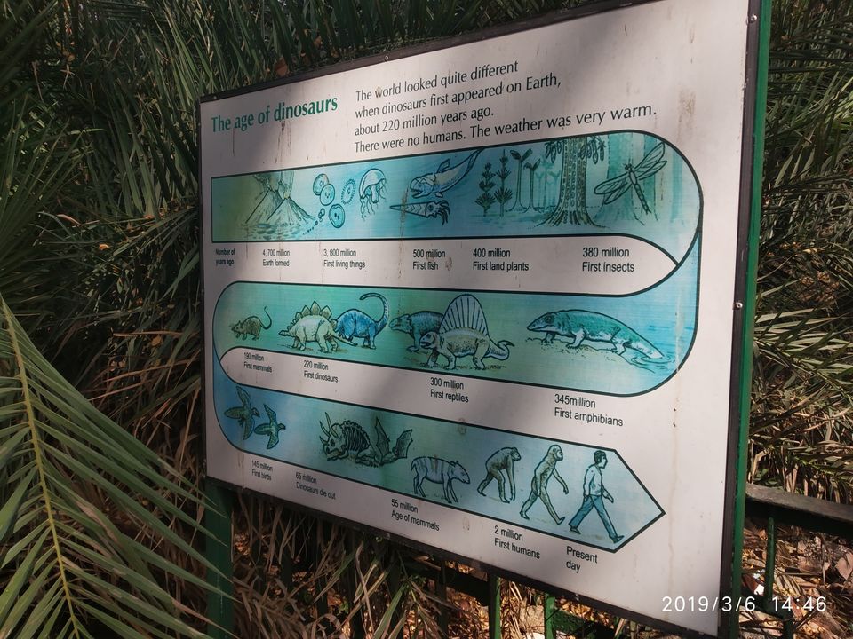 Photo of Nehru Zoological Park, Kishan Bagh, Hyderabad, Telangana, India by Himani Sharma