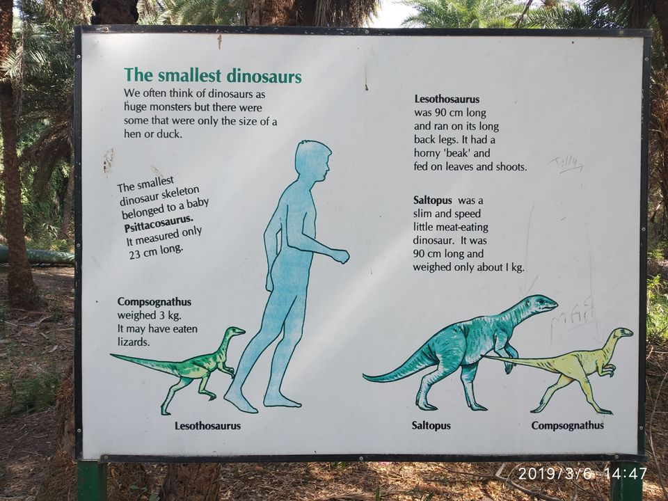 Photo of Nehru Zoological Park, Kishan Bagh, Hyderabad, Telangana, India by Himani Sharma