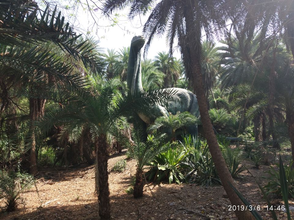 Photo of Nehru Zoological Park, Kishan Bagh, Hyderabad, Telangana, India by Himani Sharma