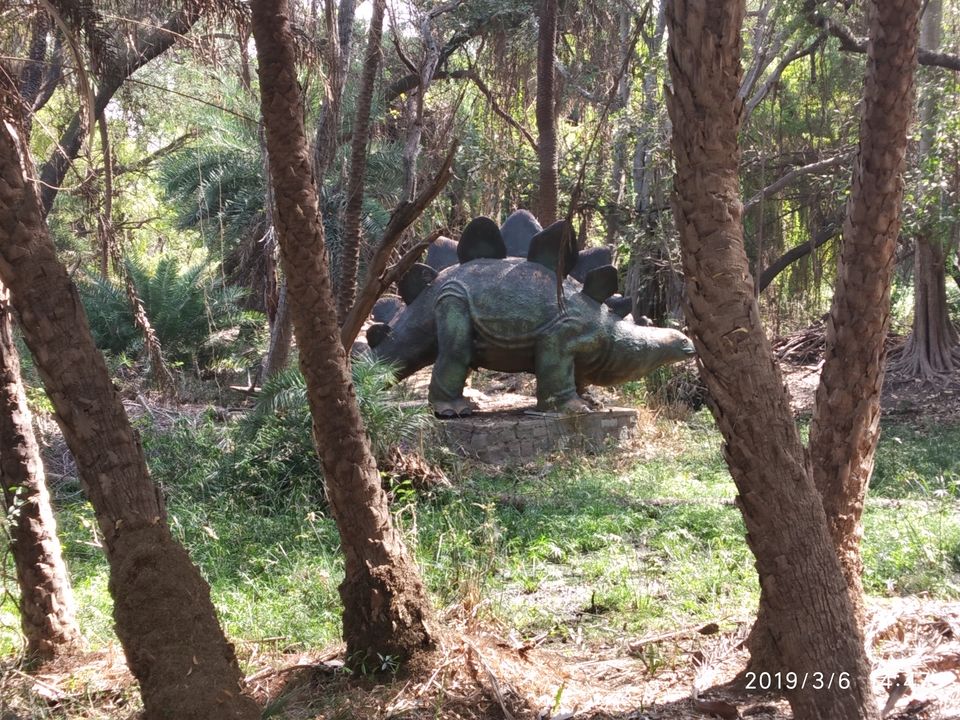 Photo of Nehru Zoological Park, Kishan Bagh, Hyderabad, Telangana, India by Himani Sharma