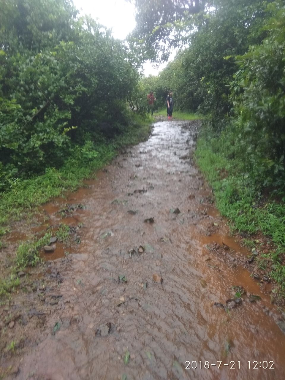 Photo of Rajmachi trek: An offbeat trek in Raigarh District, Maharashtra #offbeatgetaway by Himani Sharma