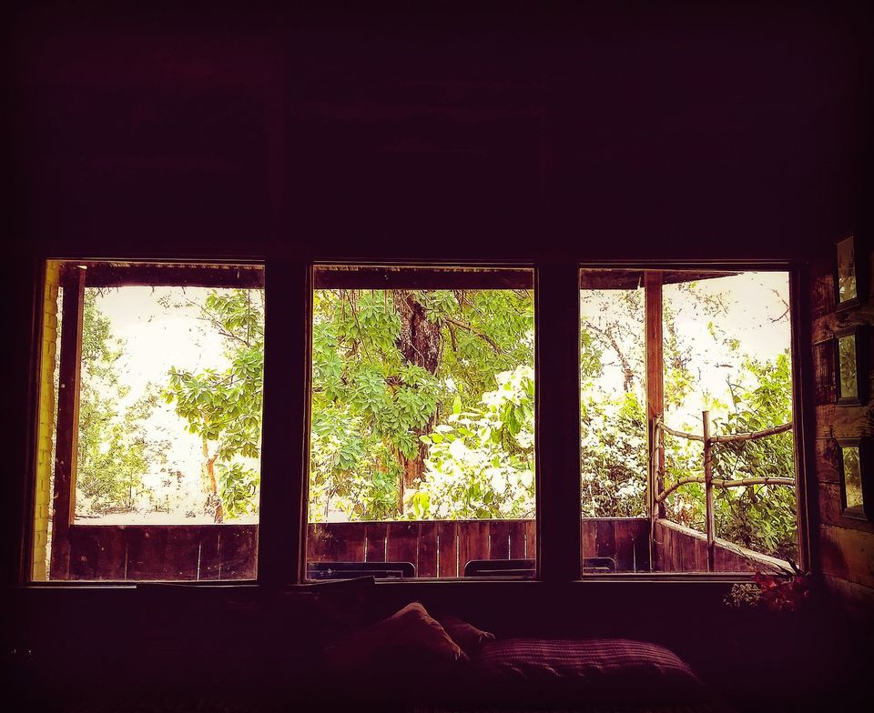 Photo of Pench National Park - A Land Of Mowgli and Tigers 3/24 by Indian Traveloggers