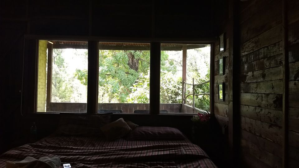Photo of Pench National Park - A Land Of Mowgli and Tigers 5/24 by Indian Traveloggers