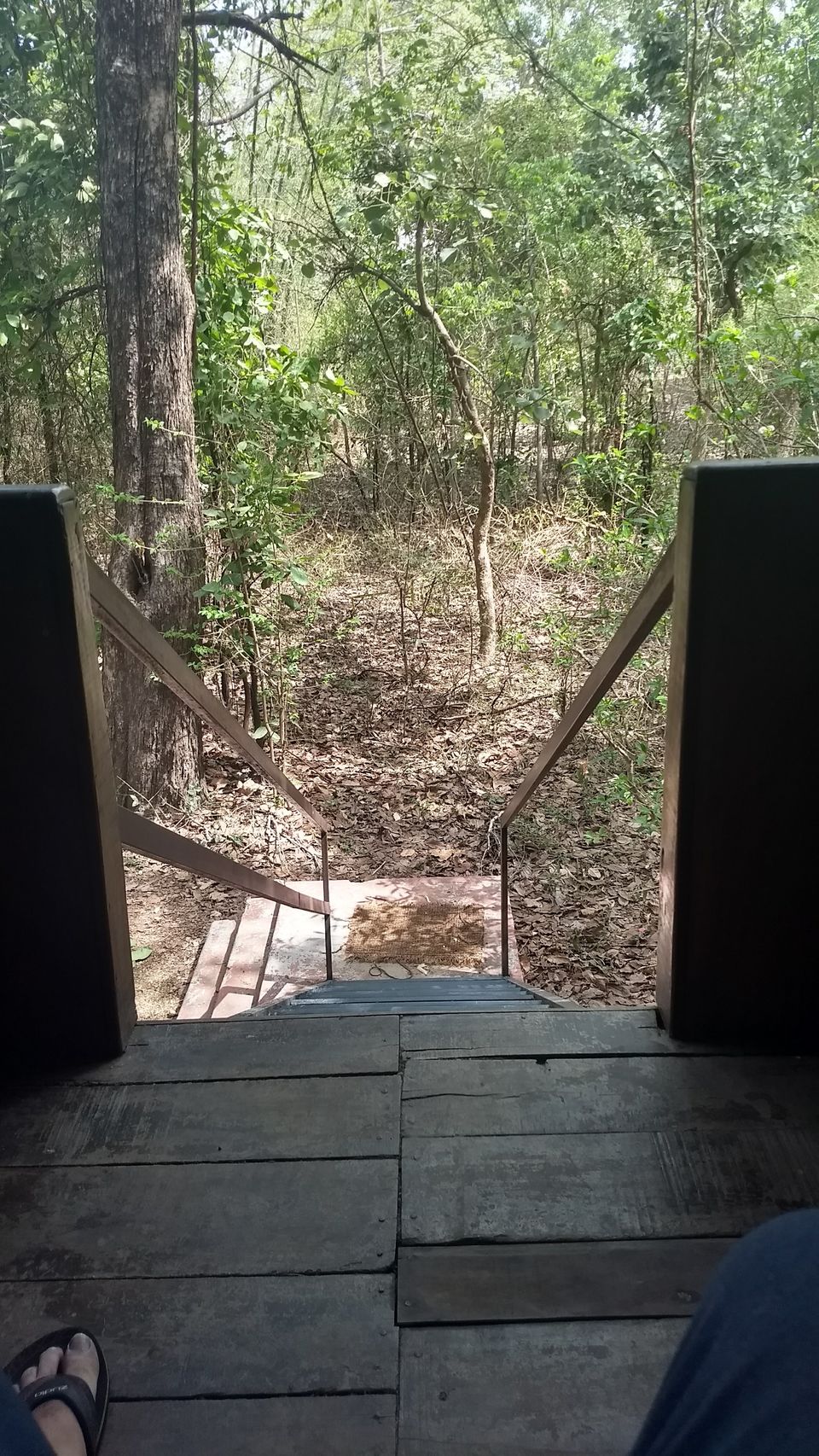 Photo of Pench National Park - A Land Of Mowgli and Tigers 7/24 by Indian Traveloggers