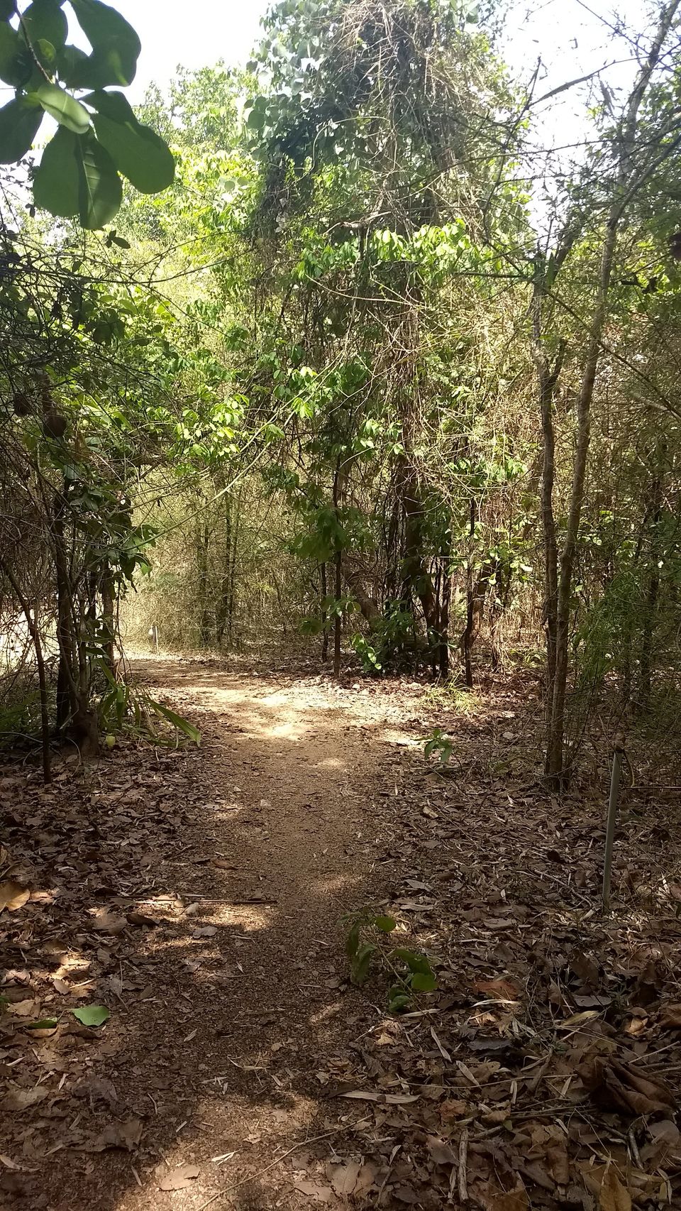 Photo of Pench National Park - A Land Of Mowgli and Tigers 6/24 by Indian Traveloggers