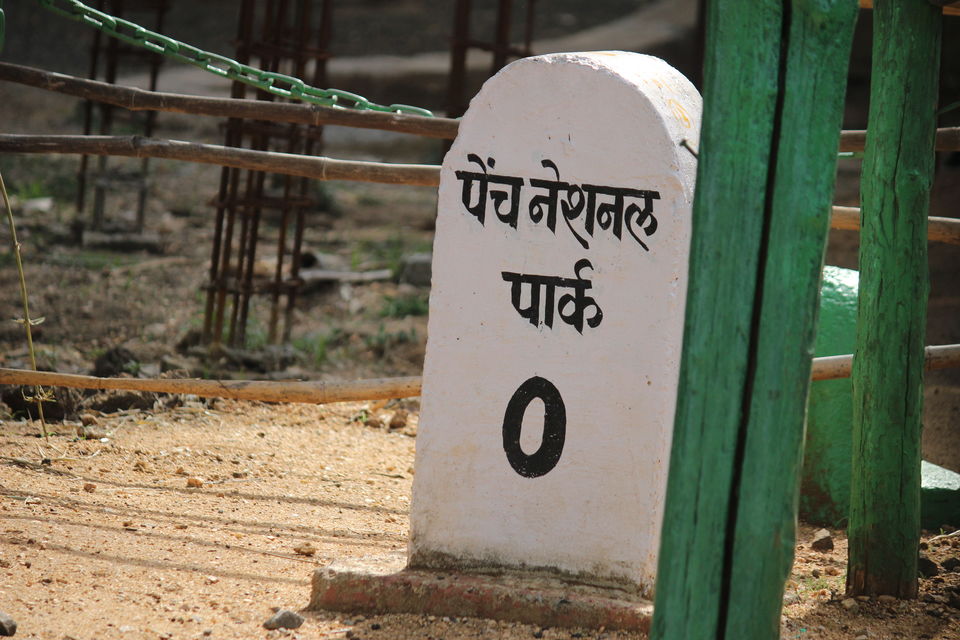 Photo of Pench National Park - A Land Of Mowgli and Tigers 11/24 by Indian Traveloggers