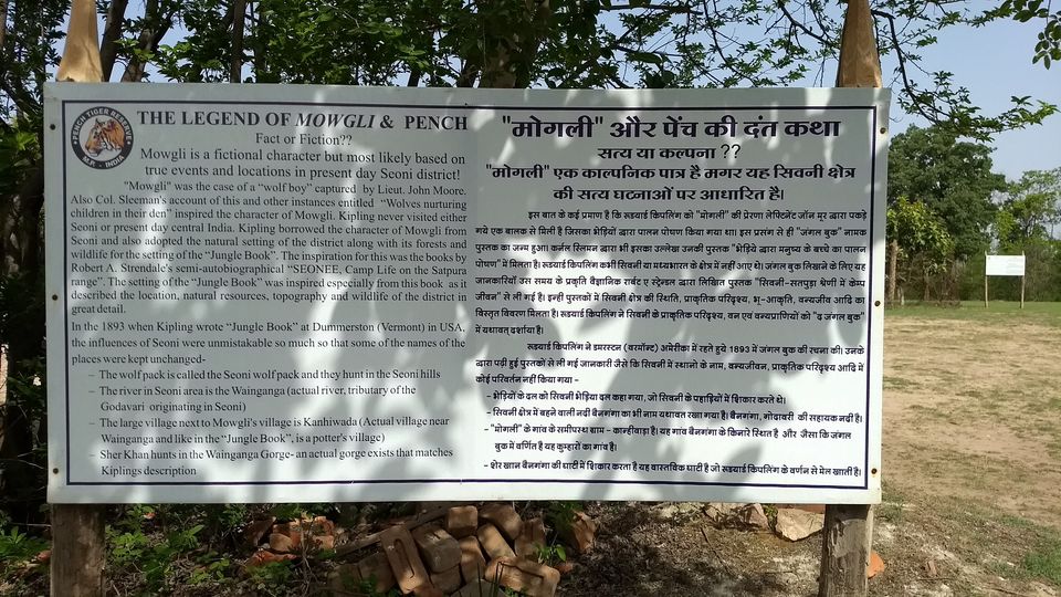 Photo of Pench National Park - A Land Of Mowgli and Tigers 12/24 by Indian Traveloggers