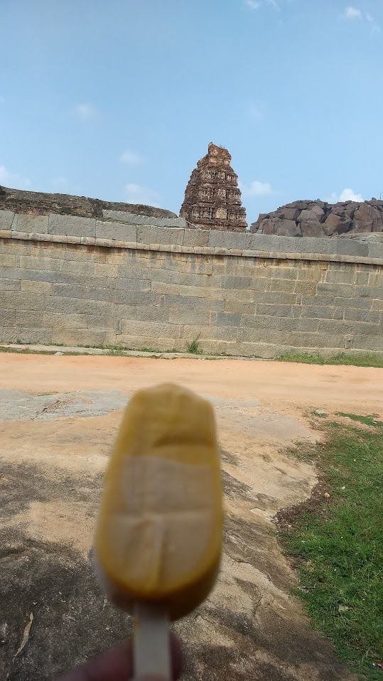 Photo of I Traveled to explore the beautiful Ruins Which are more stunning than other monuments in India 21/34 by Ashish Garg