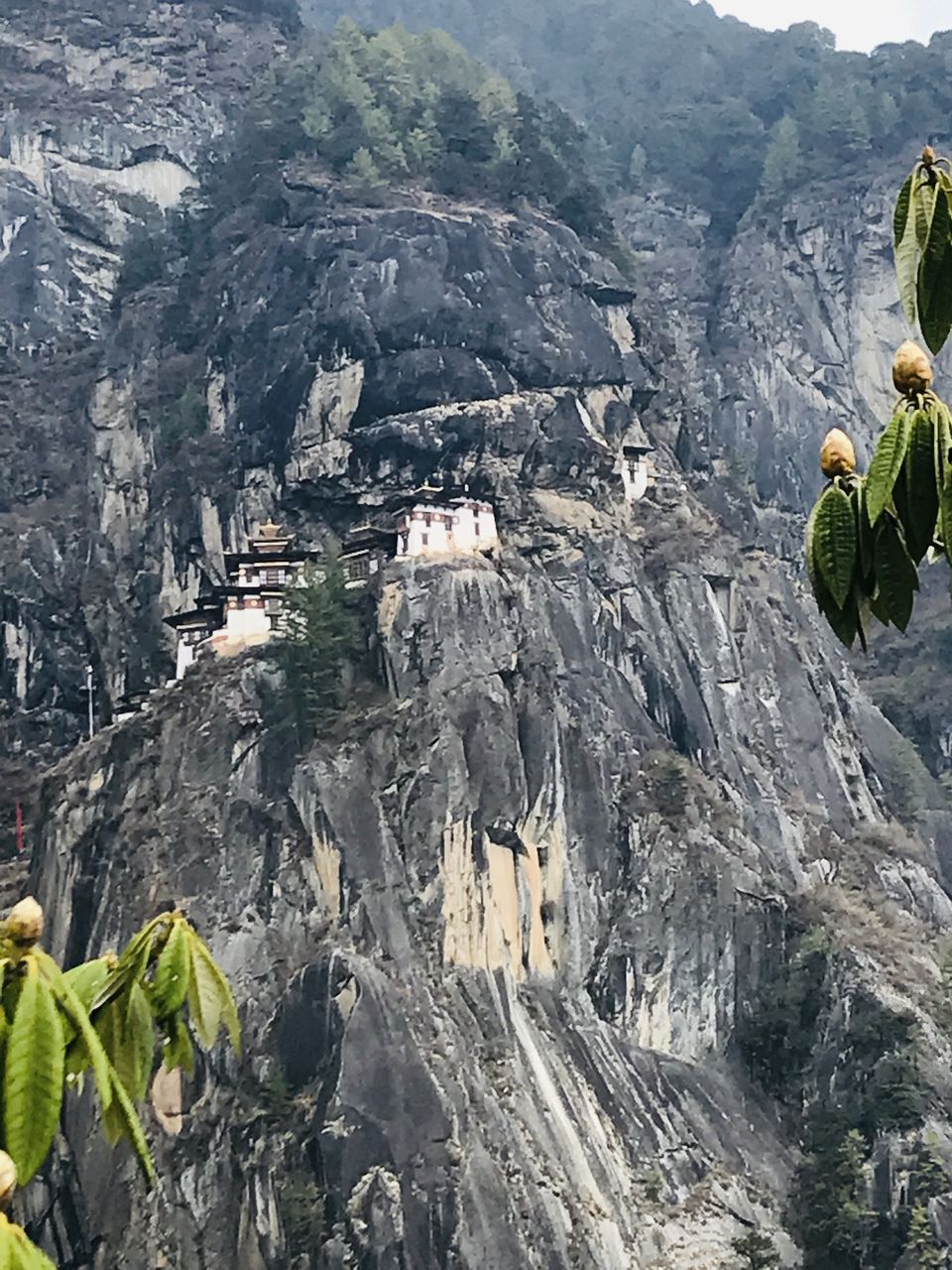 Photo of Leisure trip to Bhutan by Navya Reddy