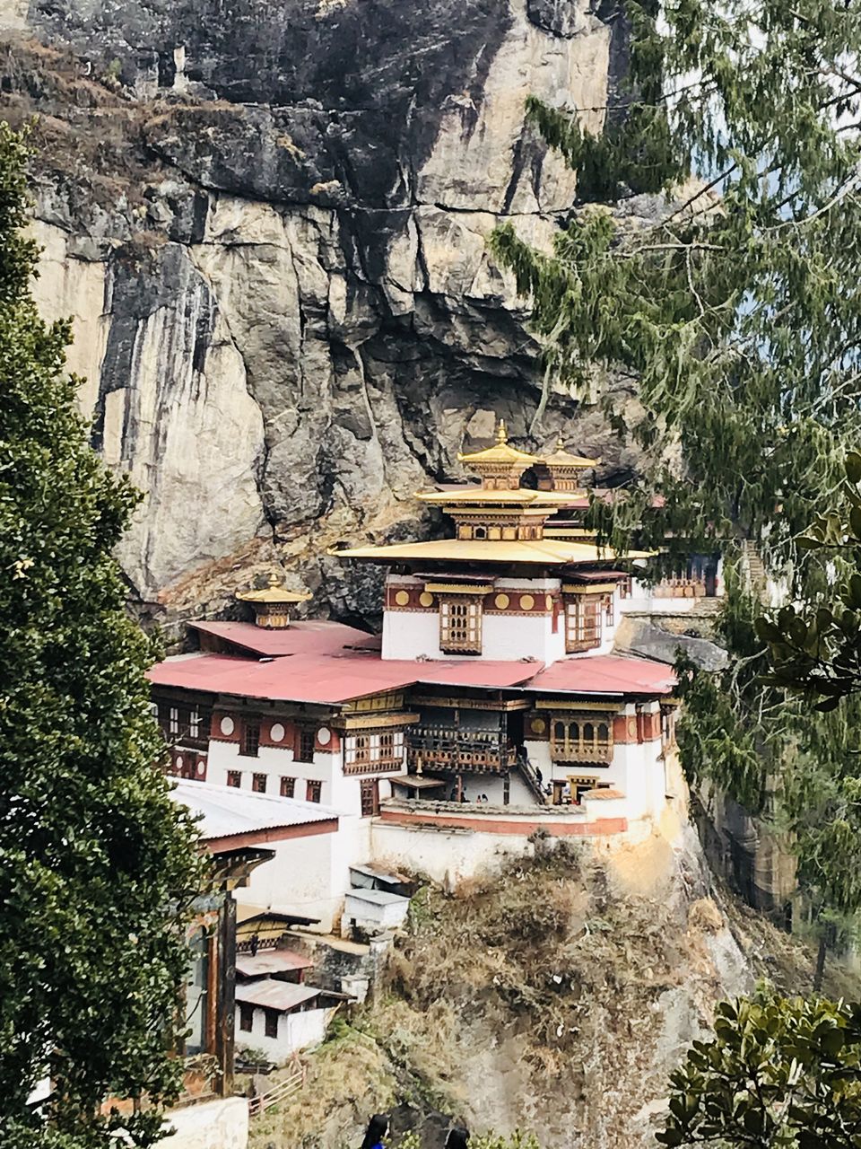 Photo of Leisure trip to Bhutan by Navya Reddy