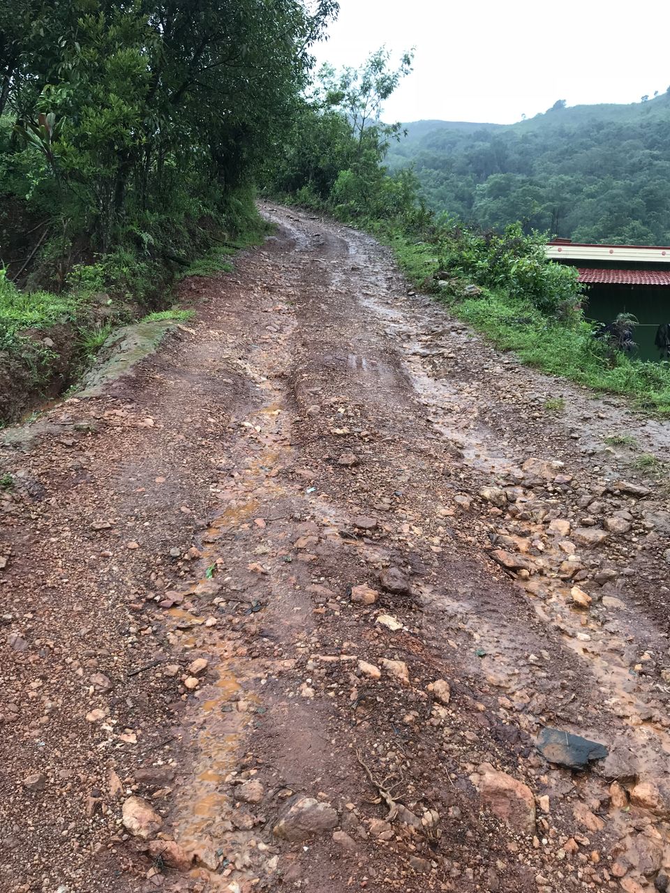 Photo of A Monsoon Trek to Remember-Kudremukh 5/16 by Navya Reddy