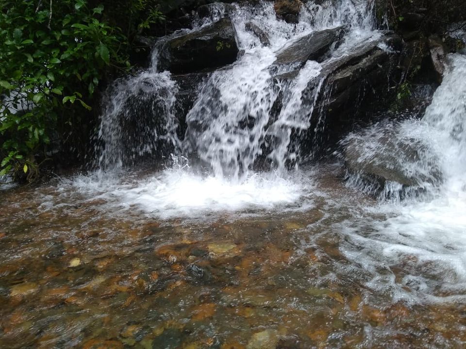 Photo of A Monsoon Trek to Remember-Kudremukh 6/16 by Navya Reddy