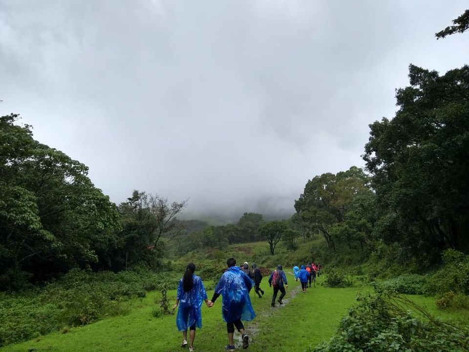 Photo of A Monsoon Trek to Remember-Kudremukh 8/16 by Navya Reddy