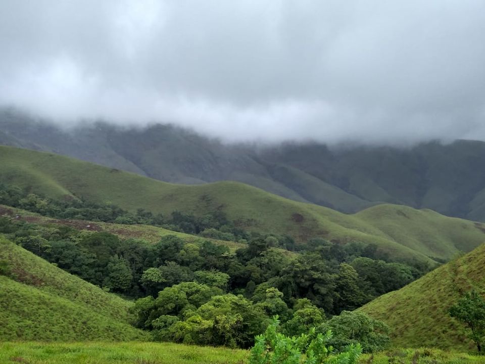 Photo of A Monsoon Trek to Remember-Kudremukh 11/16 by Navya Reddy