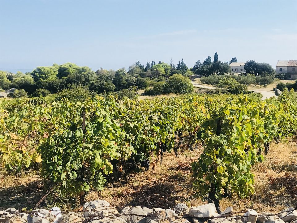 Photo of Croatia:Chapter 2- The Mamma Mia Land 33/38 by Navya Reddy