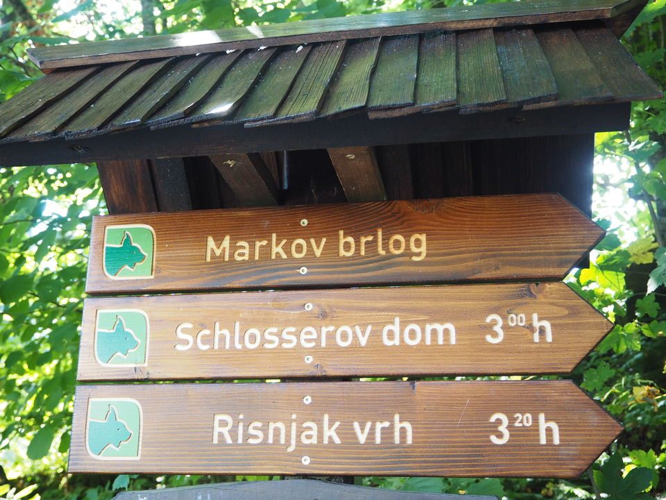 Photo of Croatia:Chapter 4-Rijeka & Risnjak National Park 16/40 by Navya Reddy