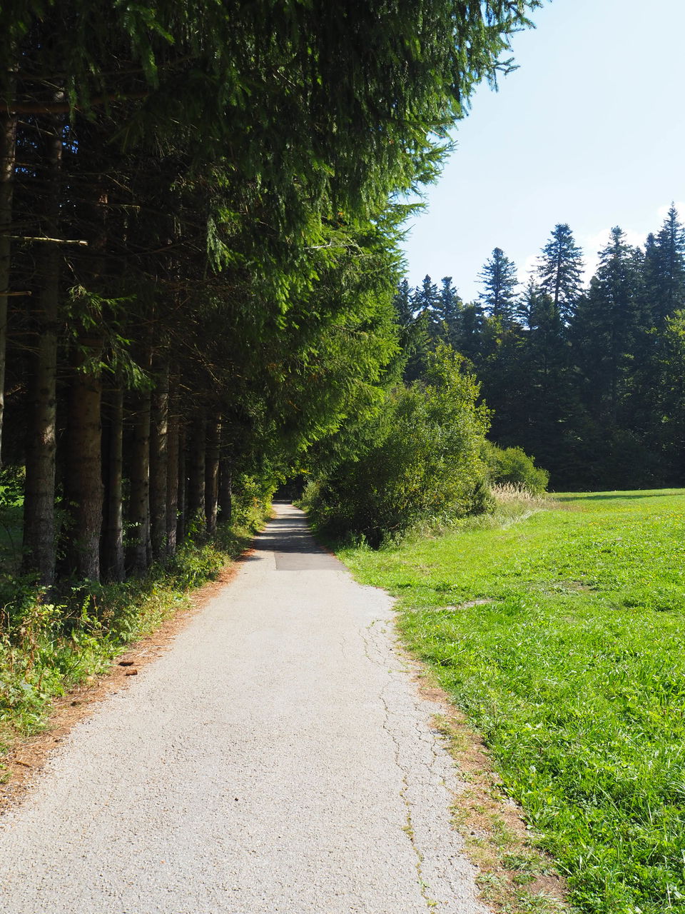 Photo of Croatia:Chapter 4-Rijeka & Risnjak National Park 39/40 by Navya Reddy