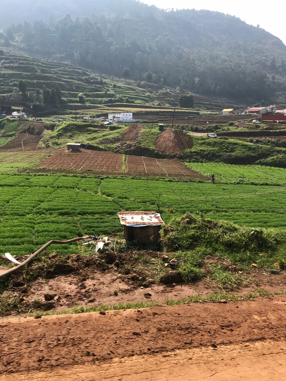 Photo of Relaxing weekend at The Ataraxia,Coonoor 1/32 by Navya Reddy