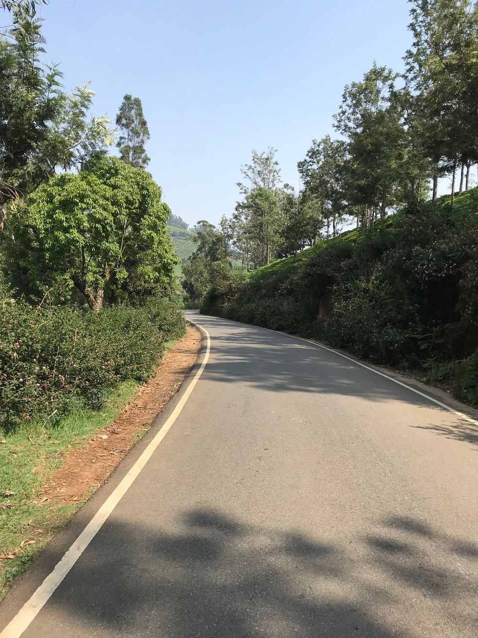Photo of Relaxing weekend at The Ataraxia,Coonoor 10/32 by Navya Reddy