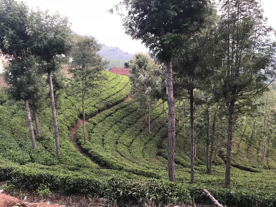 Photo of Relaxing weekend at The Ataraxia,Coonoor 13/32 by Navya Reddy