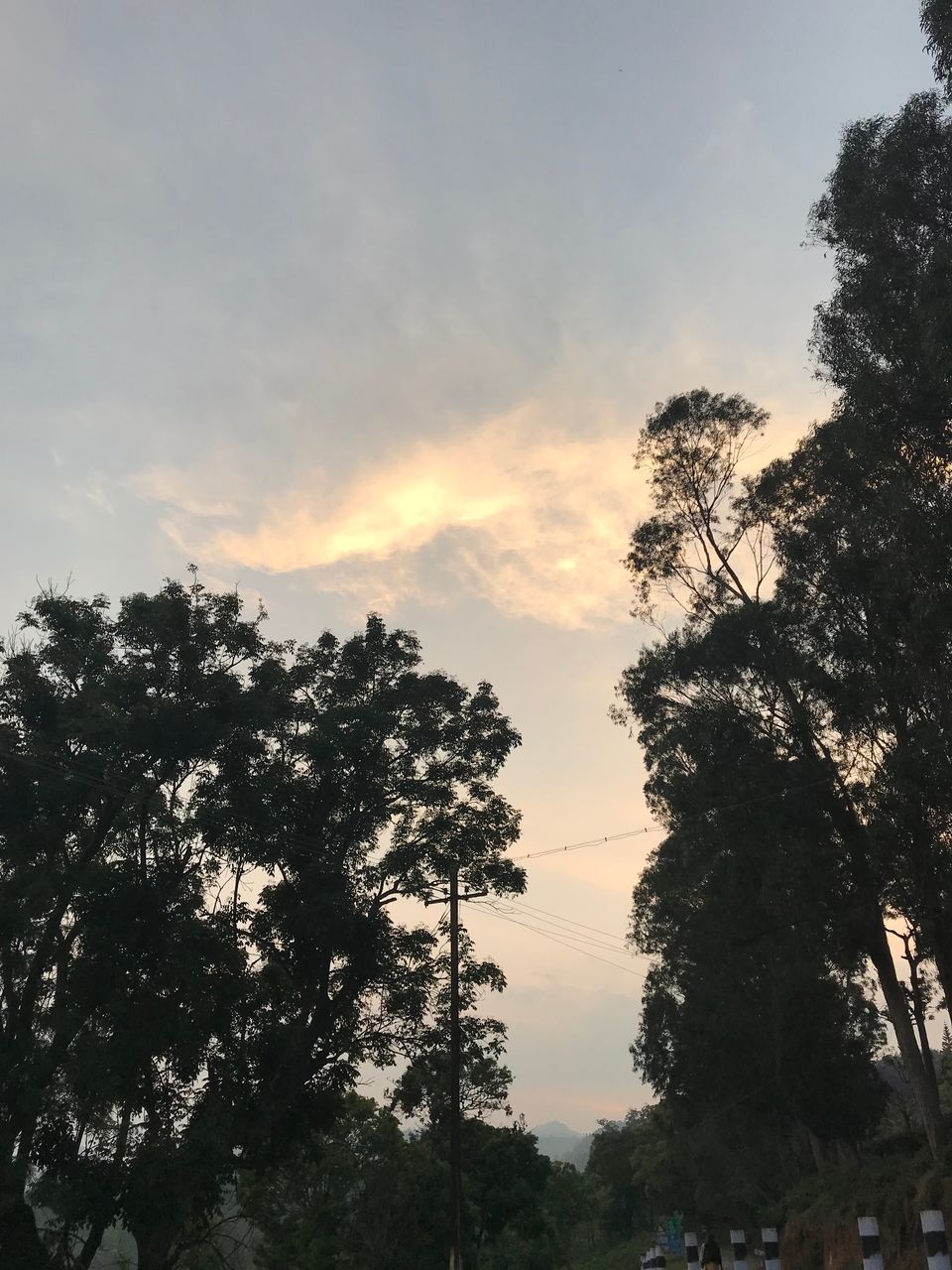 Photo of Relaxing weekend at The Ataraxia,Coonoor 15/32 by Navya Reddy