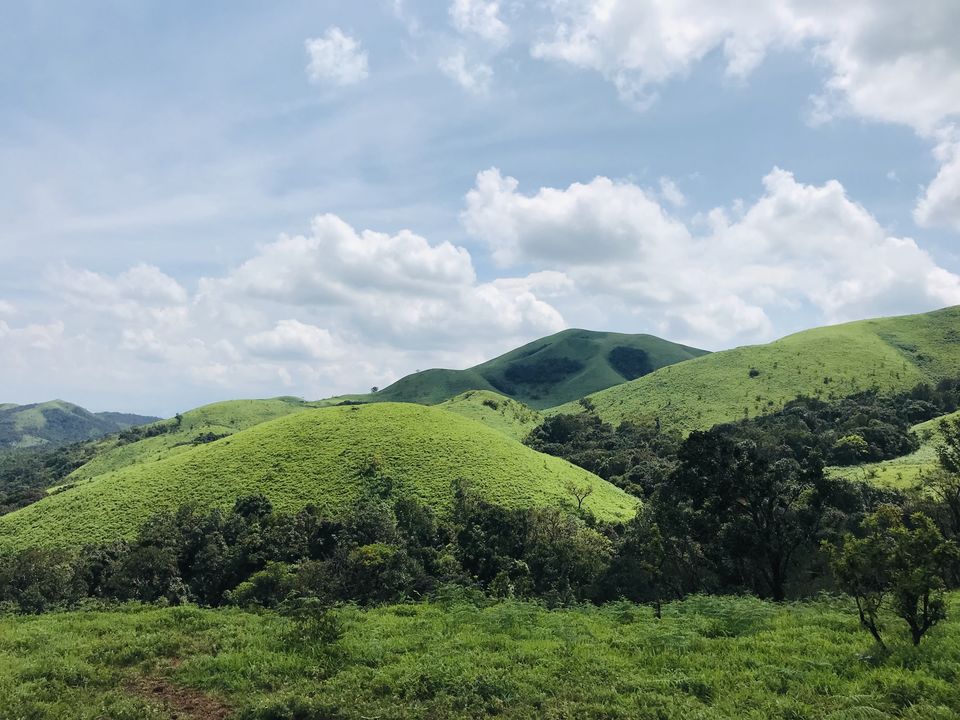 Photo of An unplanned road trip to Sakleshpur by Navya Reddy