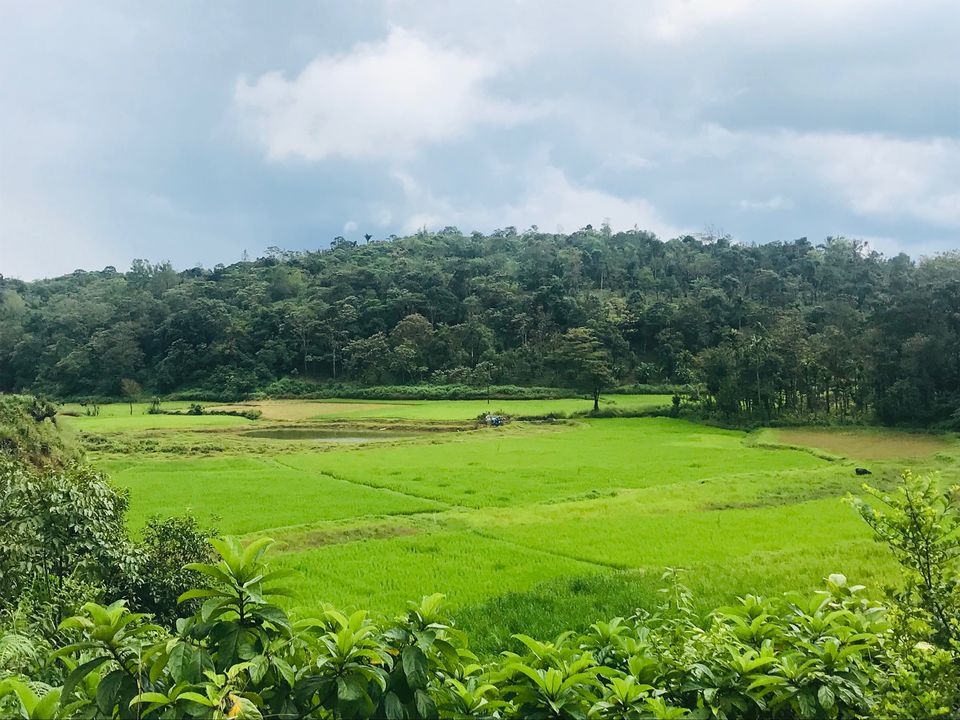 Photo of An unplanned road trip to Sakleshpur 1/14 by Navya Reddy
