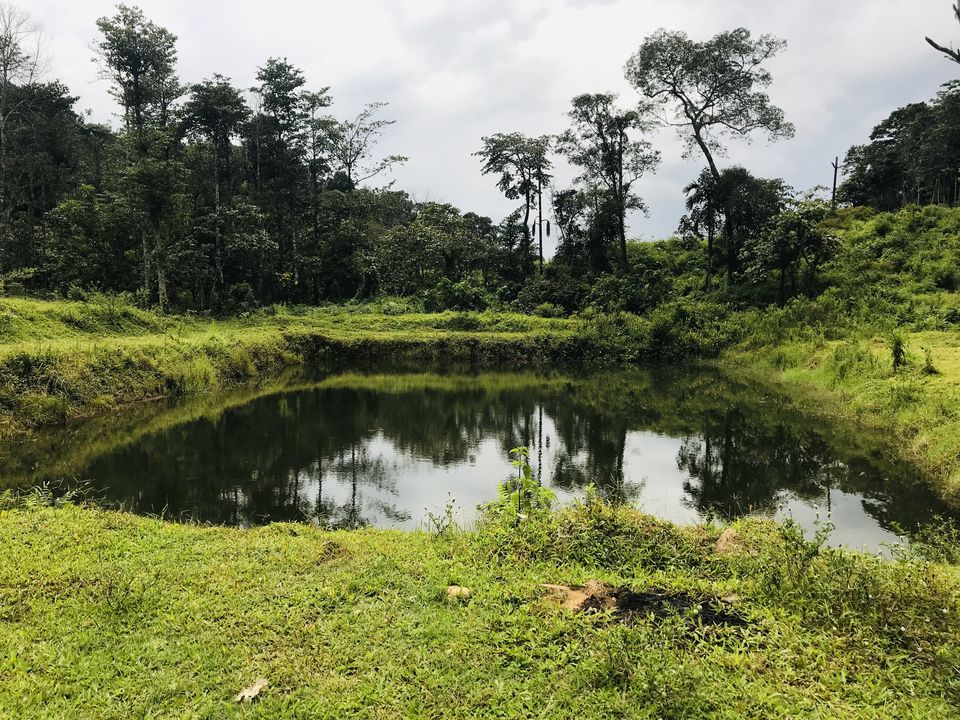 Photo of An unplanned road trip to Sakleshpur 2/14 by Navya Reddy