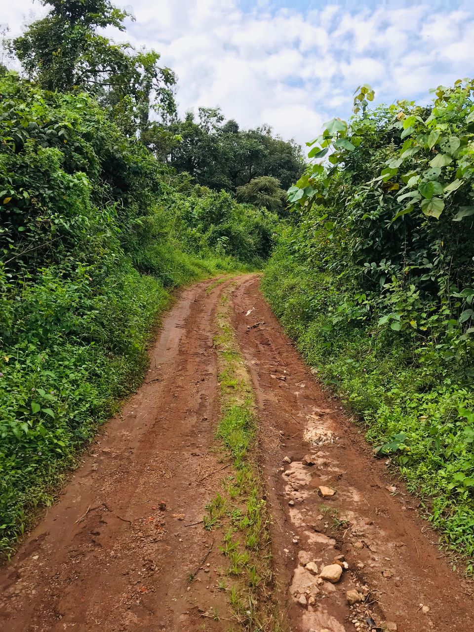 Photo of An unplanned road trip to Sakleshpur 3/14 by Navya Reddy