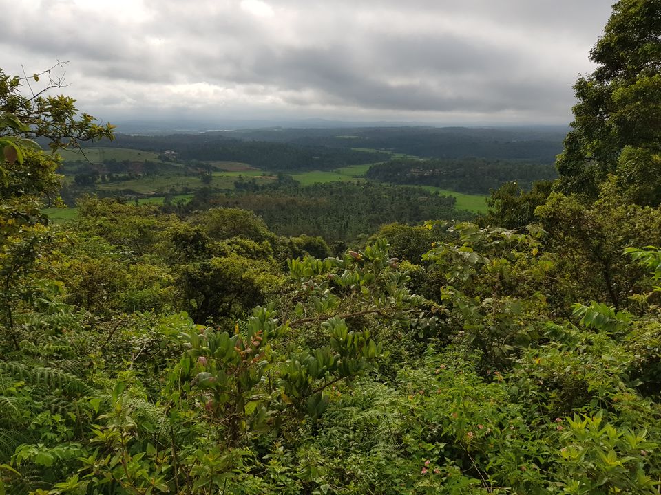 Photo of An unplanned road trip to Sakleshpur 7/14 by Navya Reddy