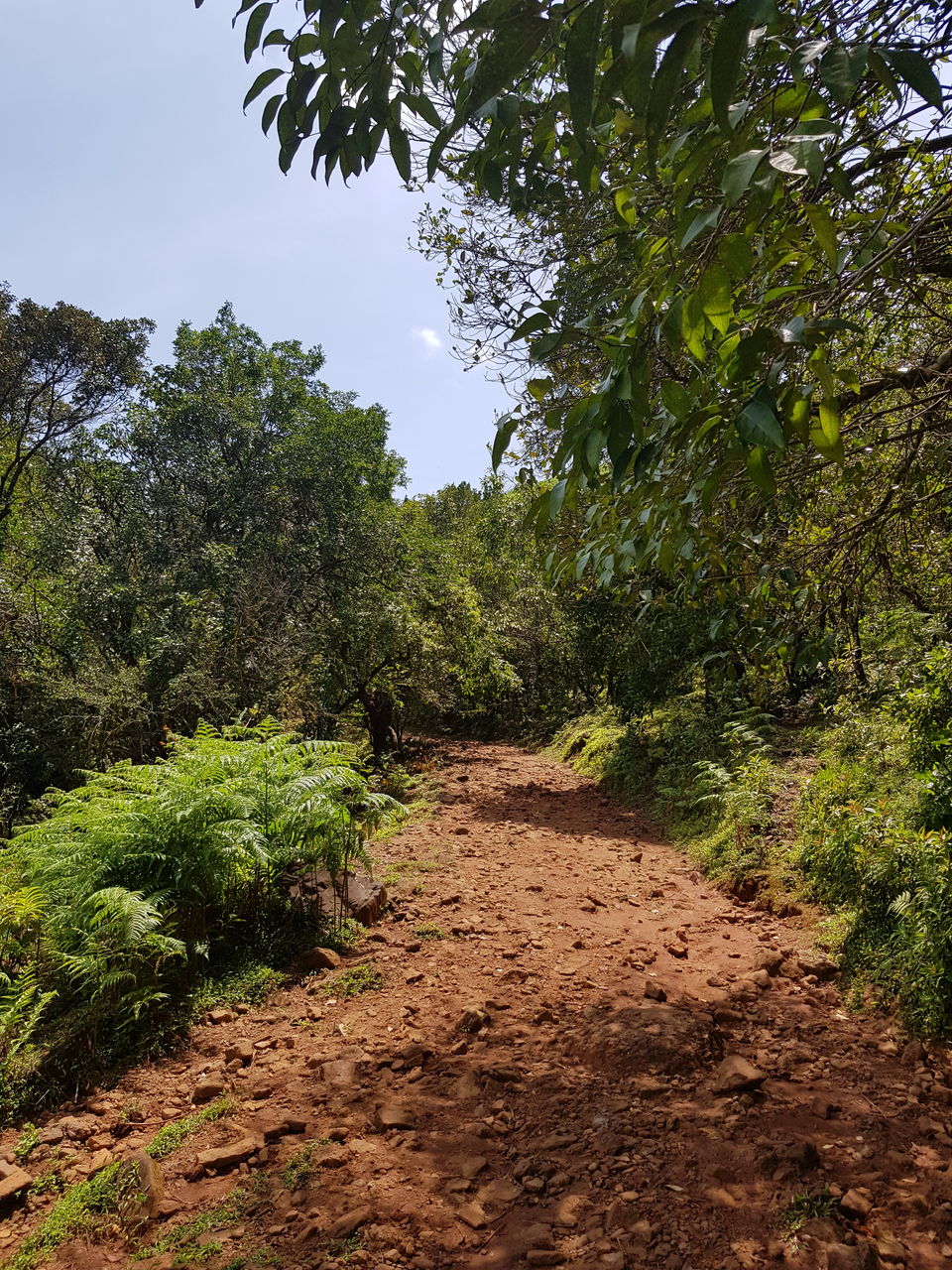 Photo of An unplanned road trip to Sakleshpur 10/14 by Navya Reddy