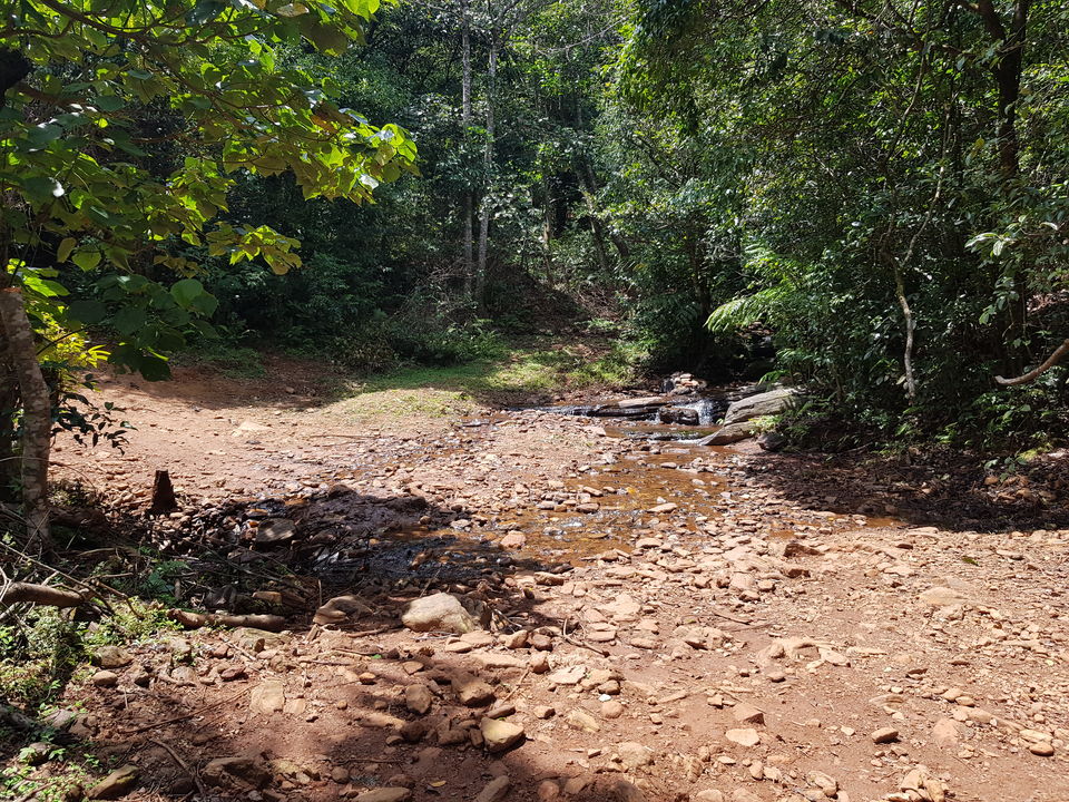 Photo of An unplanned road trip to Sakleshpur 12/14 by Navya Reddy