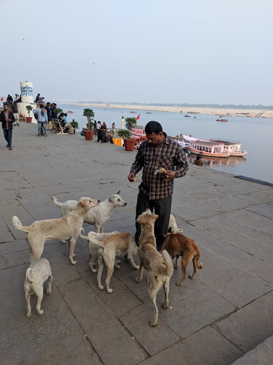 Photo of Varanasi, Uttar Pradesh, India by யுவஸ்ரீ தவமணி
