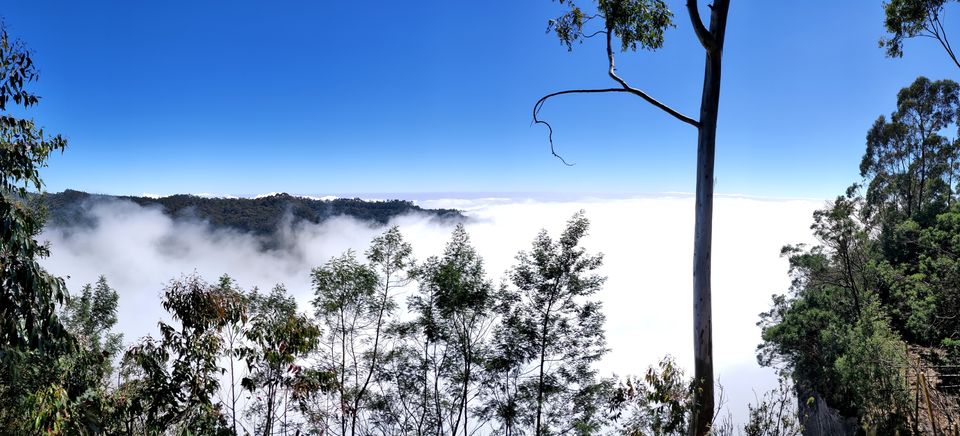 Photo of Silent Valley view, Berijam Road, Tamil Nadu, India by Shantanu Jaid