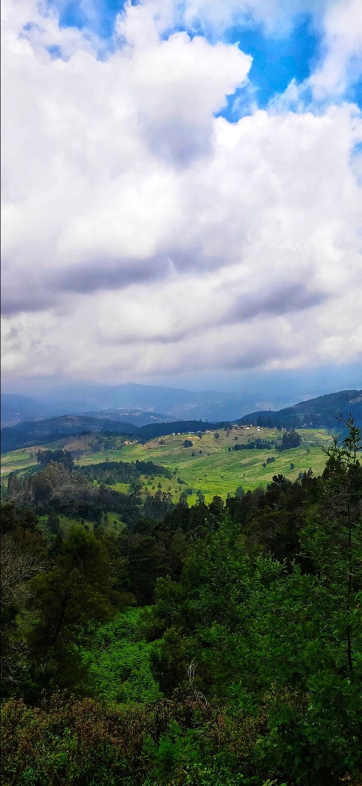 Photo of Kodaikanal, Tamil Nadu, India by Travel Bird