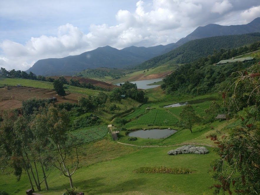 Photo of Journey to the secluded heaven- Destiny Farms, Ooty (Tamil Nadu, India) 3/8 by Srashti Suneriya Mittal