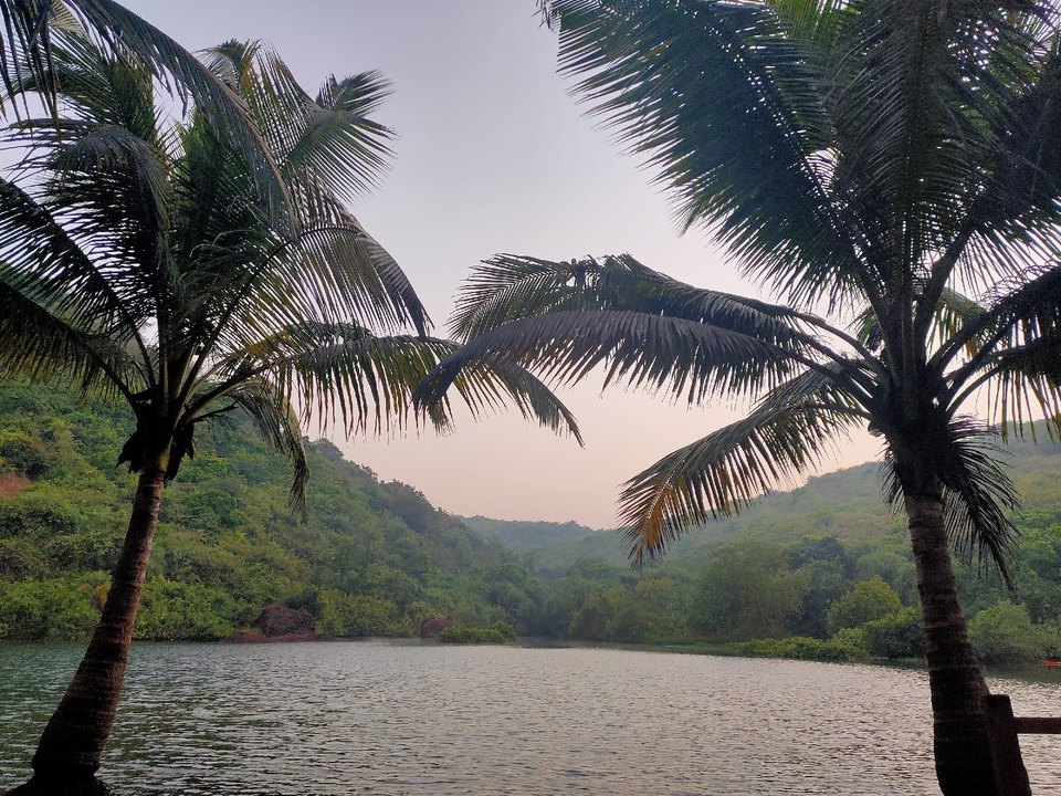 Photo of Arambol Beach, Arambol, Goa by Tanmay Mishra