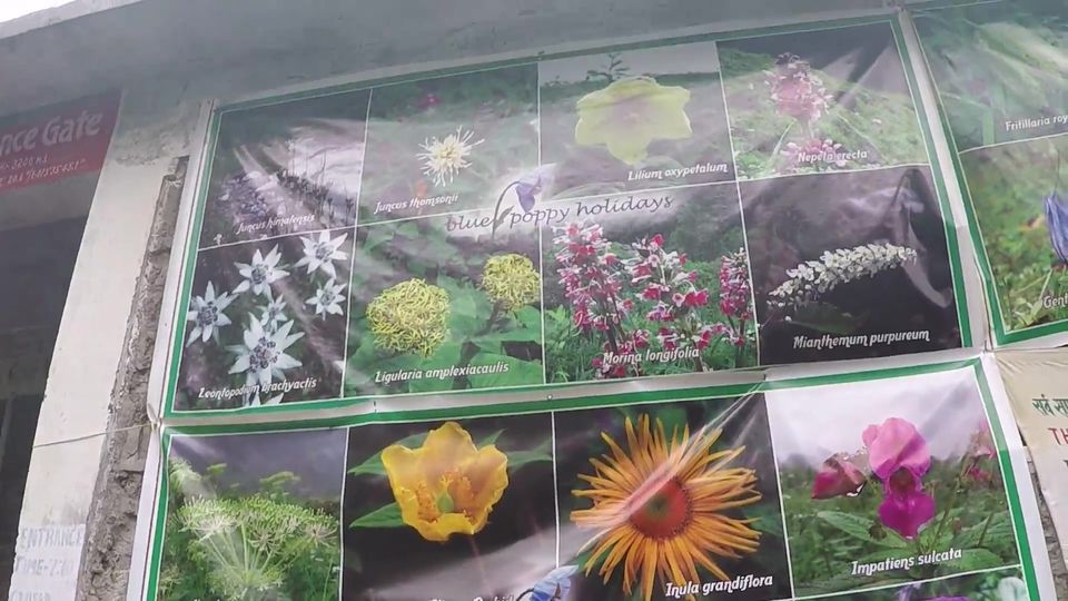 Photo of Valley of Flowers and Gurudwara Sri Hemkund Sahib - Road Trip plus Trekking by Hitesh Bhutani