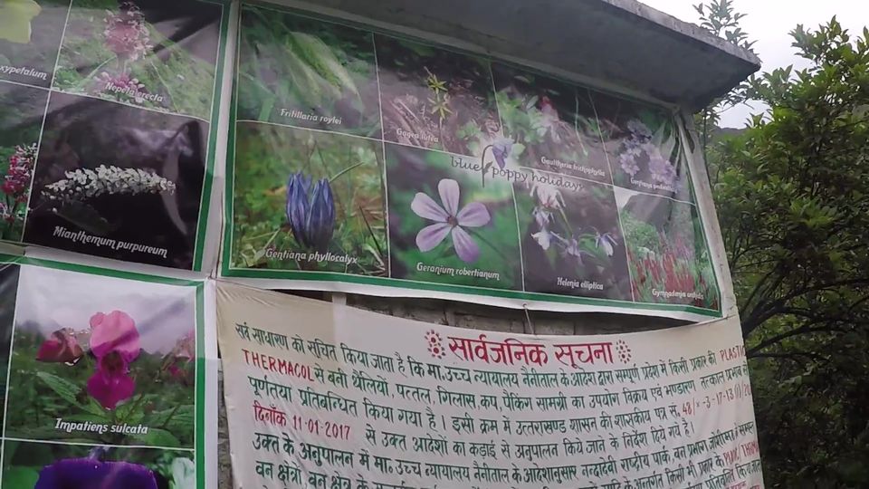 Photo of Valley of Flowers and Gurudwara Sri Hemkund Sahib - Road Trip plus Trekking by Hitesh Bhutani