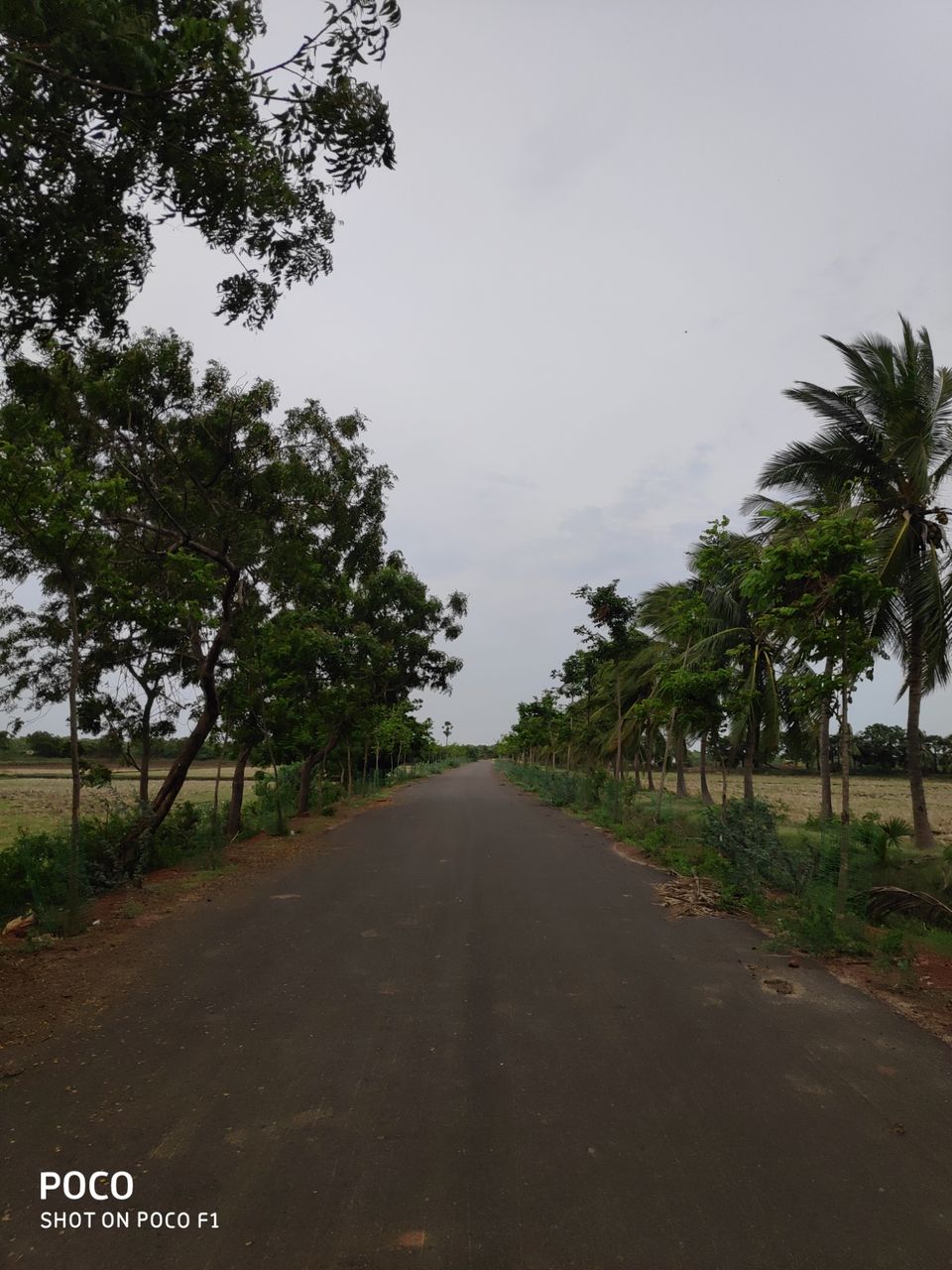 Photo of CORINGA WILD LIFE SANCTUARY by Vazeer Ishaan
