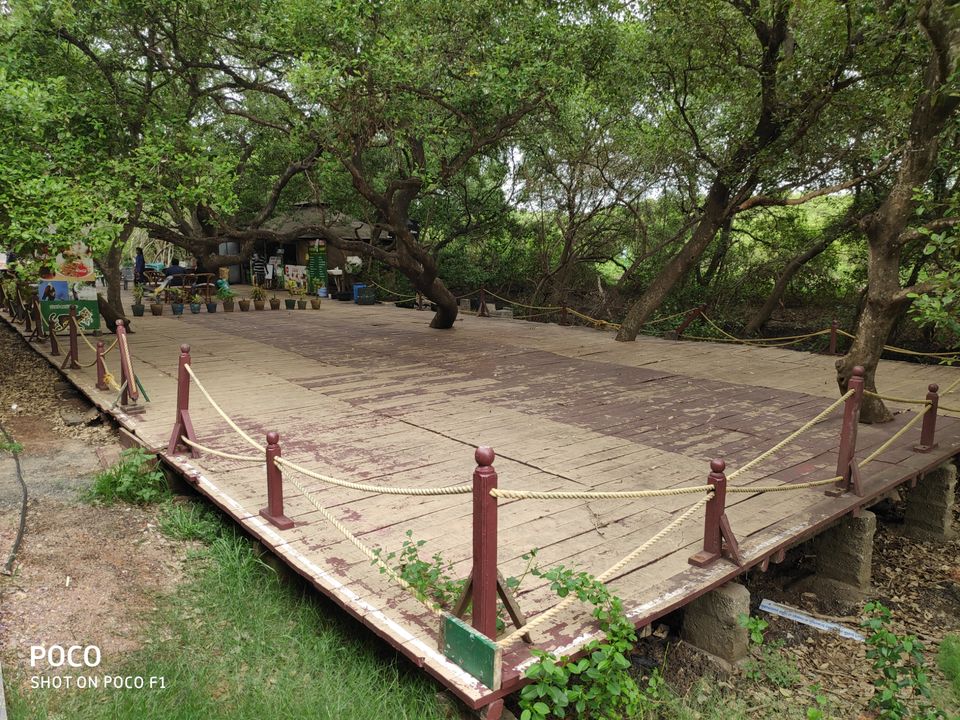 Photo of CORINGA WILD LIFE SANCTUARY by Vazeer Ishaan