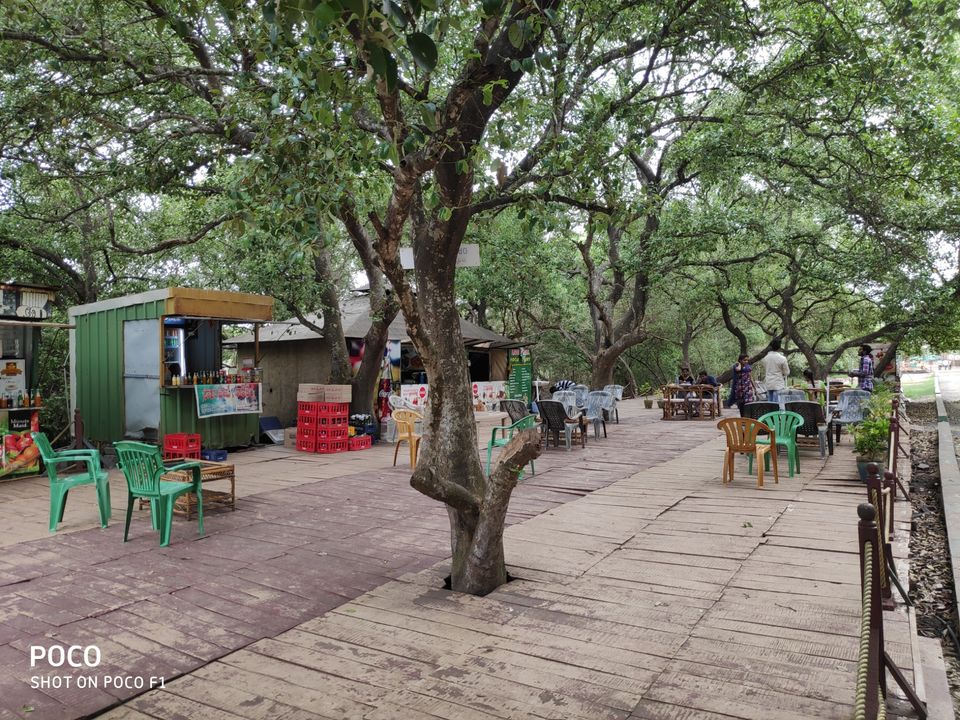 Photo of CORINGA WILD LIFE SANCTUARY by Vazeer Ishaan