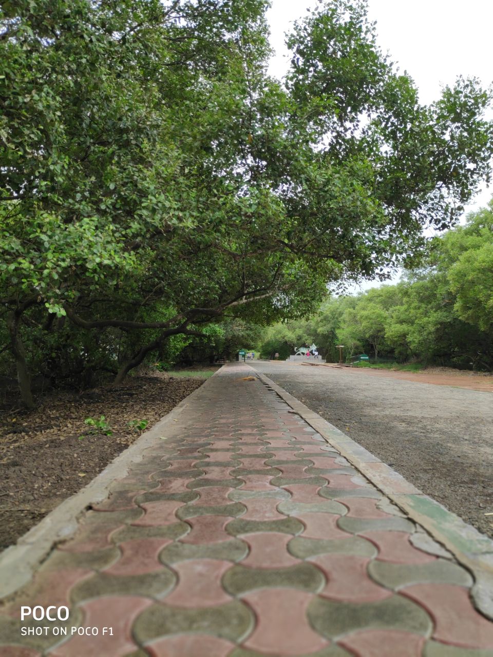 Photo of CORINGA WILD LIFE SANCTUARY by Vazeer Ishaan