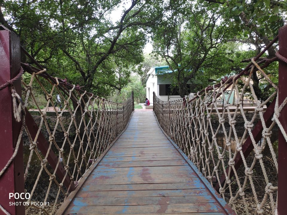 Photo of CORINGA WILD LIFE SANCTUARY by Vazeer Ishaan