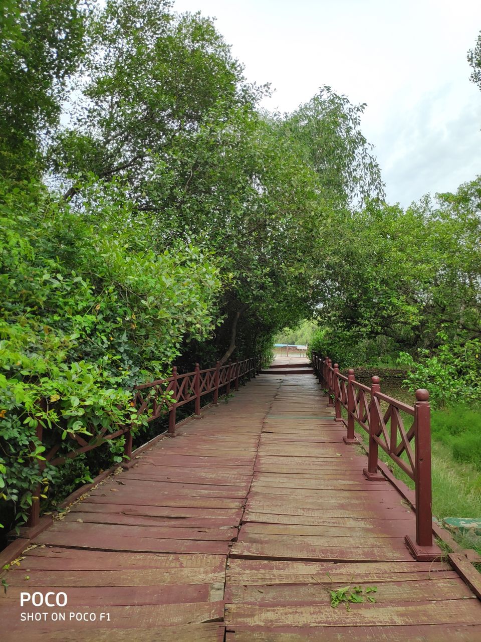 Photo of CORINGA WILD LIFE SANCTUARY by Vazeer Ishaan